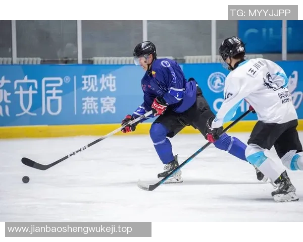 2025至2026赛季中国男子冰球职业联赛深圳赛区圆满落幕精彩赛事回顾与未来展望